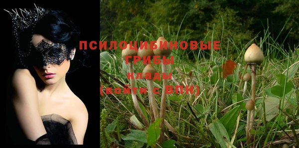 дурь Белокуриха