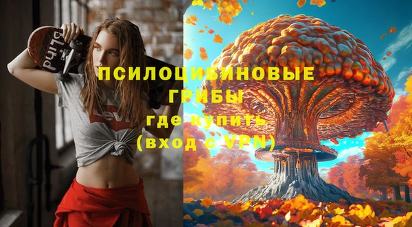 дживик Беломорск
