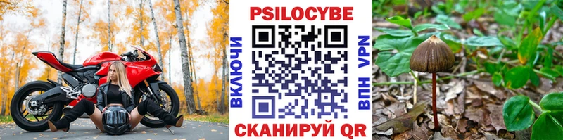 Псилоцибиновые грибы Psilocybine cubensis Высоцк